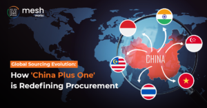 Sourcing Redefined with China Plus One